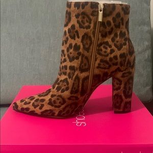 Brand new, never worn! Leopard print booties